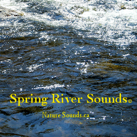 The sounds of the running water of a river